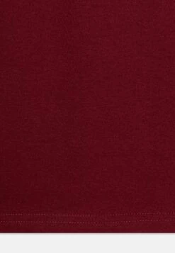 Friboo 5 Pack - Longsleeve - Multi-Coloured/Black/Dark Red -Friboo c10082c6bbfb409a8241256d9ad1cede